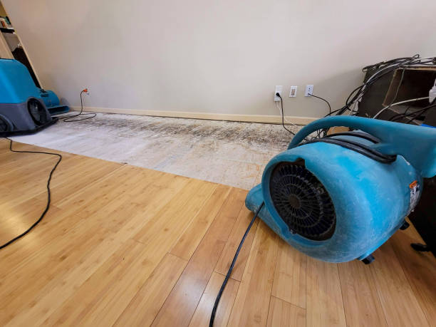 Professional Flood Damage Cleanup technician working in Beals, ME